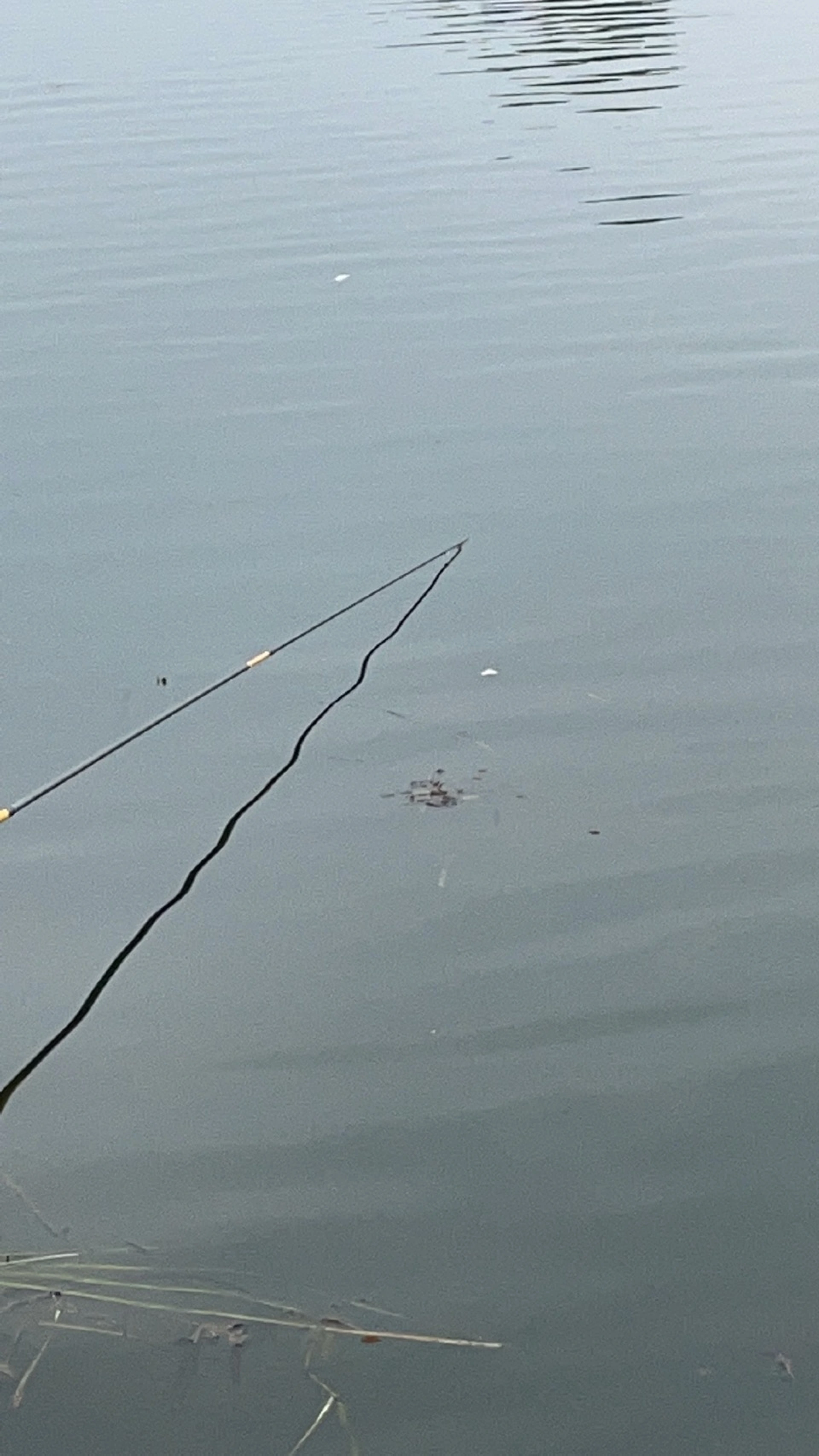 卡特彼勒（CAT）323 挖掘机